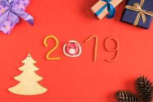 Новогодние праздники 2019